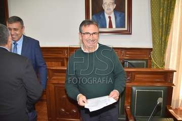 Pleno ordinario de enero de 2020 (Foto TA)